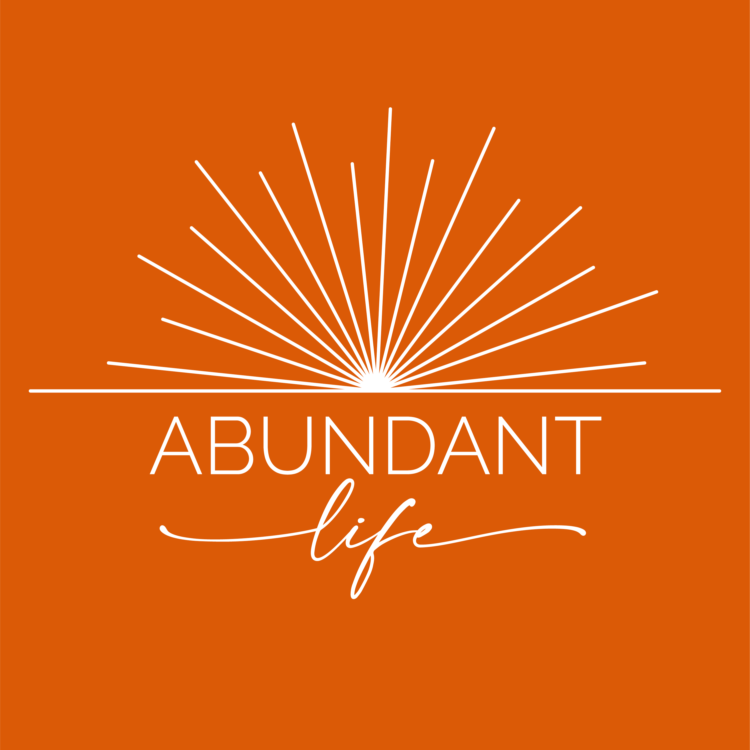 abundant-life-logo-orange-bkgrnd_771