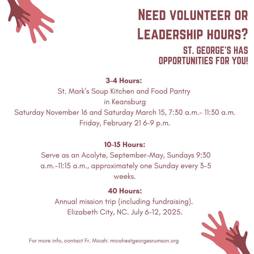 copy-of-need-volunteer-leadership-hours-instagram-post_429